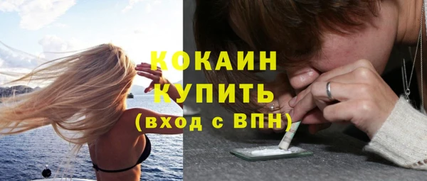 apvp Богородск
