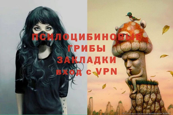 кристаллы Богородицк