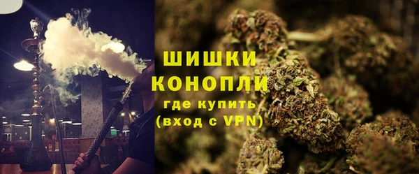 винт Гусь-Хрустальный