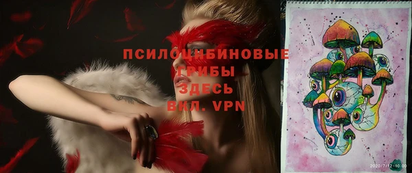 apvp Богородск