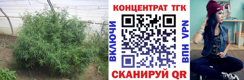 Дистиллят ТГК THC oil  Купить  Красный Кут 